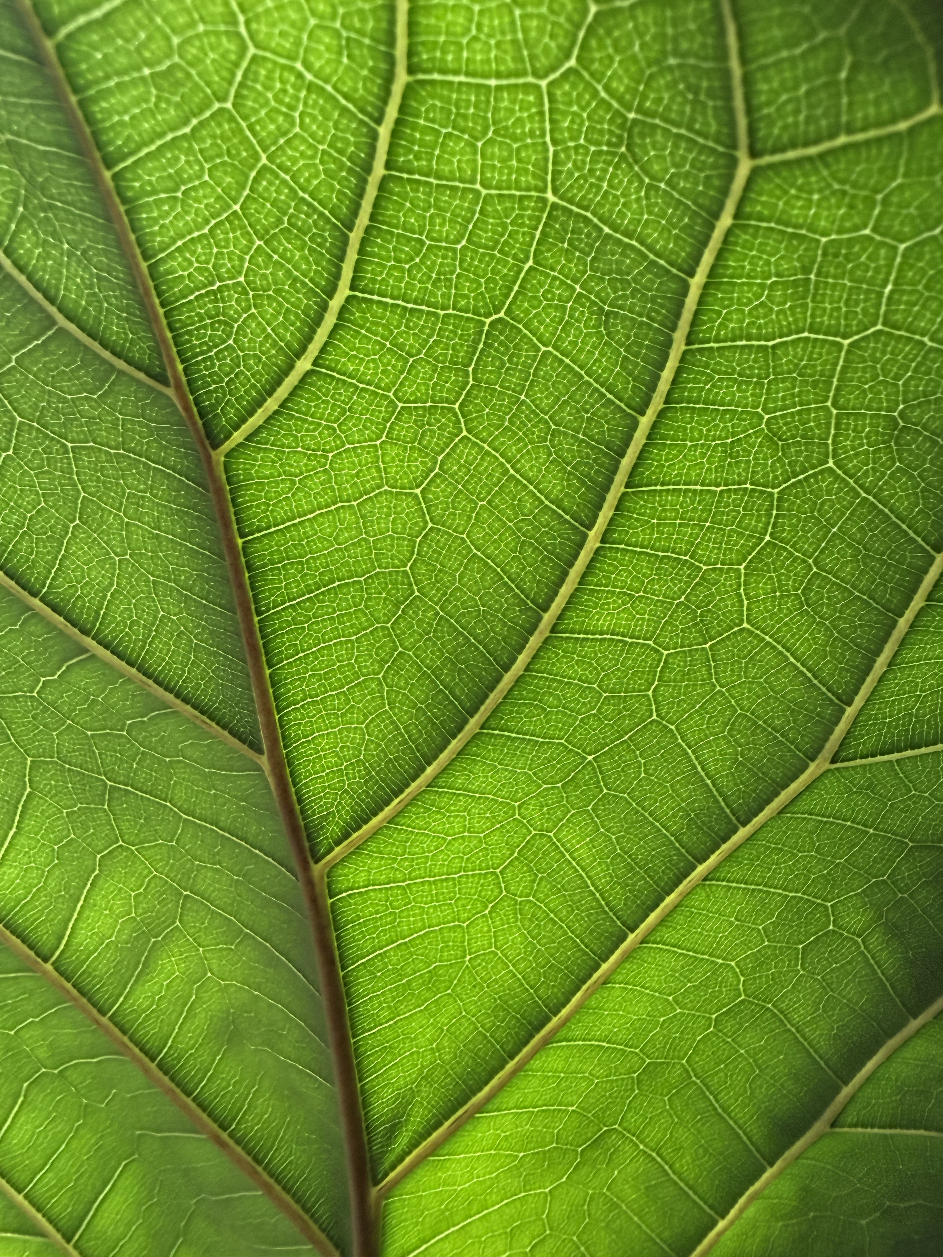 Photo uploaded April 08, 2026