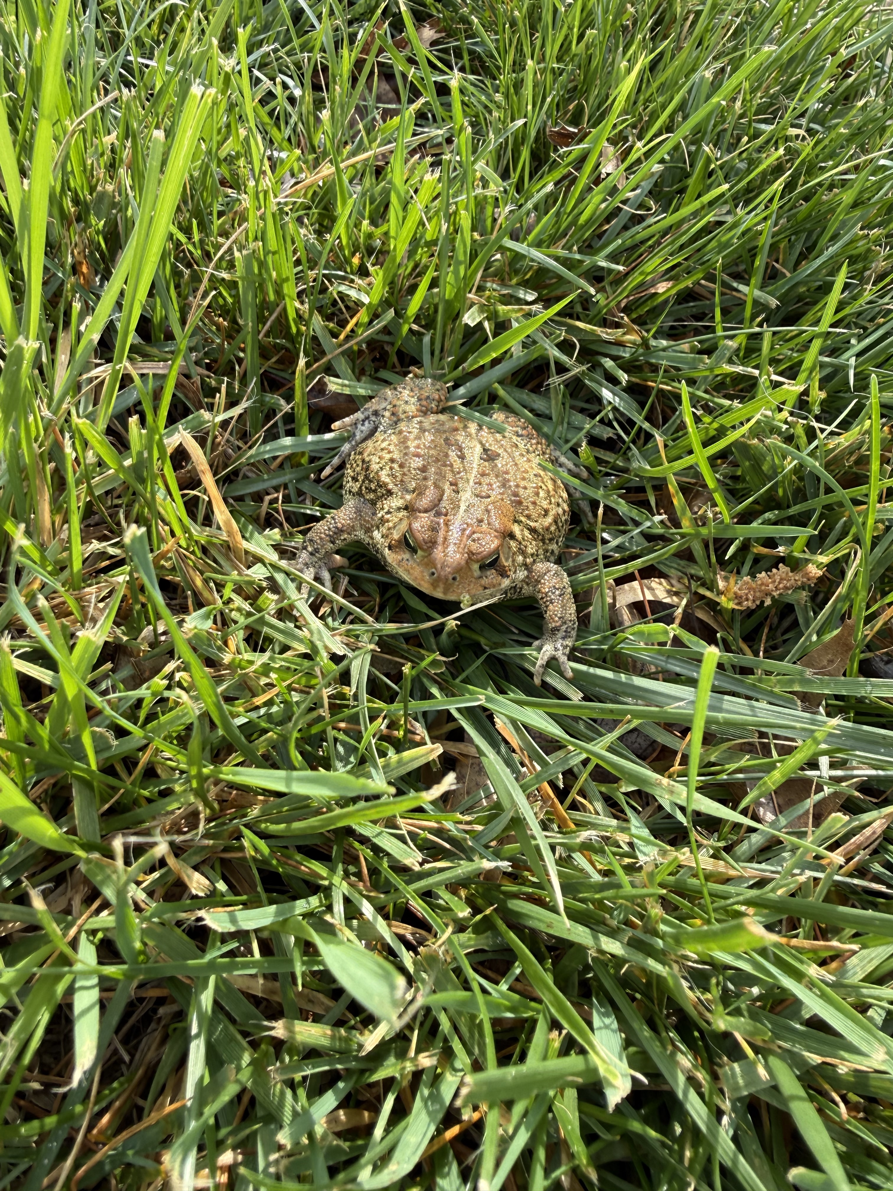 Photo uploaded April 09, 2026