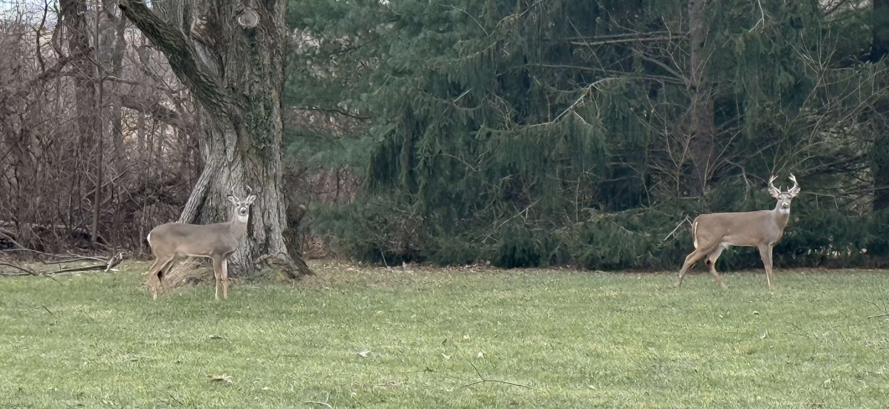 Photo uploaded April 08, 2026